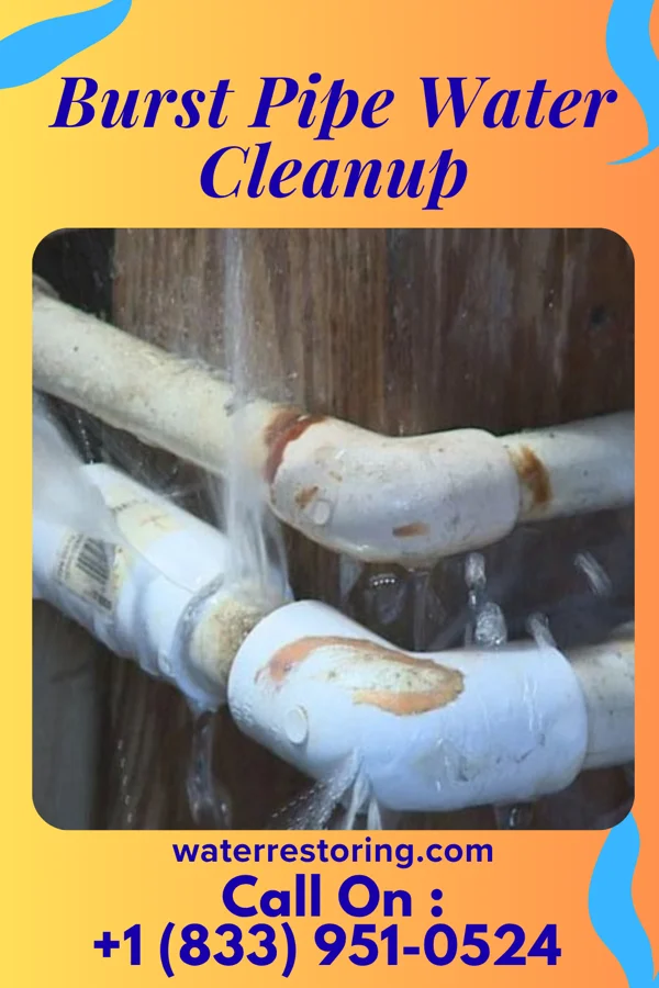 Burst Pipe Water Cleanup in Marshallville, OH