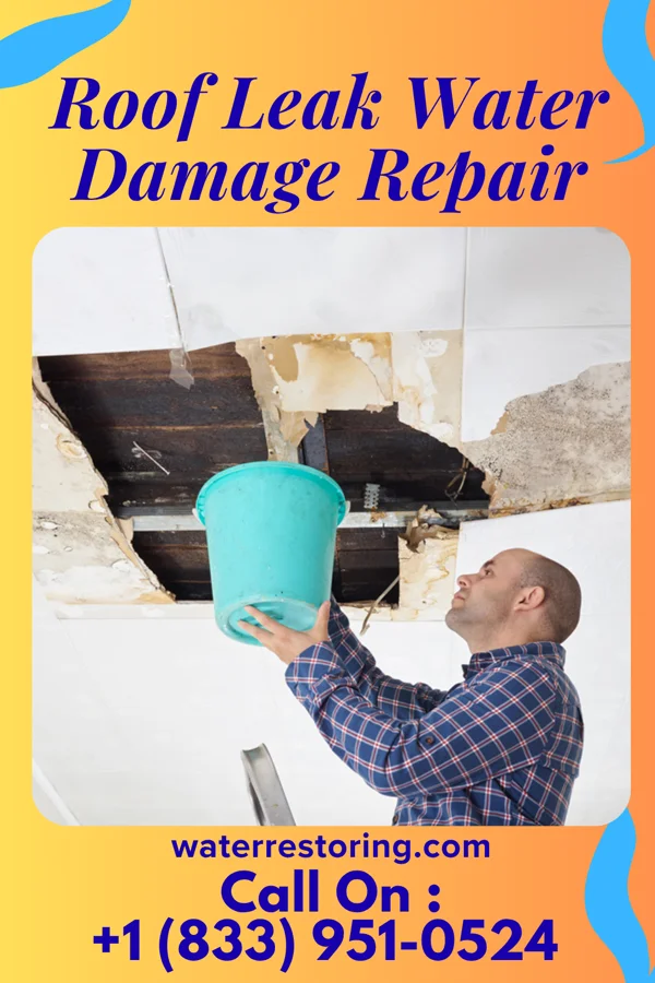 Roof Leak Water Damage Repair in Marshallville, OH