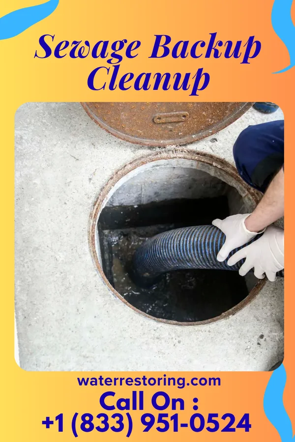 Sewage Backup Cleanup in Marshallville, OH