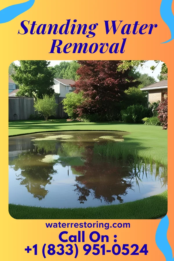 Standing Water Removal in Marshallville, OH
